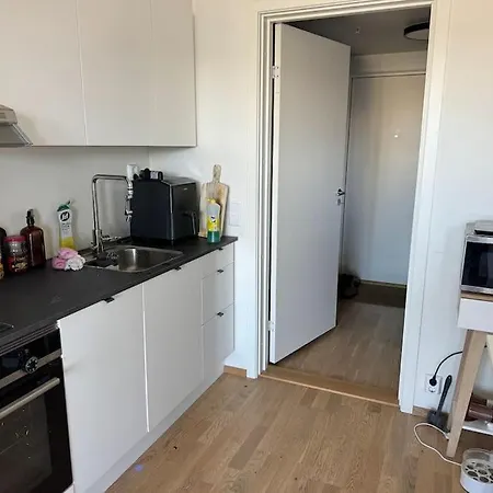 Apartment Lux - 10 Min To Oslo By Train *